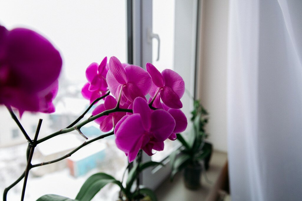 Гостиница Прага Смоленск-15