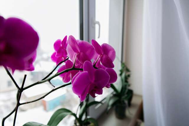 Гостиница Прага Смоленск-14